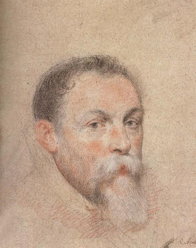 Peter Paul Rubens Portrait of Yien China oil painting art